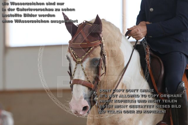 s_IMG_9841.JPG